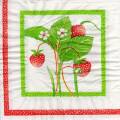 fraises0073-1.jpg (4159 octets)