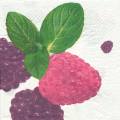 fruits_rouges0040-1b.jpg (3086 octets)