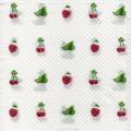 fruits_rouges0065-1.jpg (3195 octets)