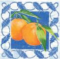 oranges0005.jpg (5104 octets)