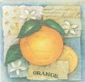 oranges0011-1a.jpg (3325 octets)