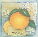 oranges0011-1b.jpg (3220 octets)