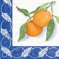 oranges0017-1a.jpg (4415 octets)