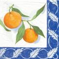 oranges0017-1b.jpg (4334 octets)