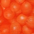 oranges0035-1.jpg (2128 octets)