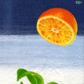 oranges0036-1c.jpg (2853 octets)