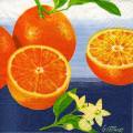 oranges0036-1d.jpg (3988 octets)