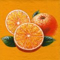 oranges0039-1.jpg (5112 octets)