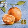 oranges0040-1.jpg (3561 octets)