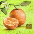 oranges0040-3.jpg (3528 octets)