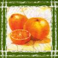 oranges0043-1.jpg (4433 octets)