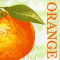 oranges0047-1.jpg (3477 octets)