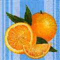 oranges0050-1.jpg (4134 octets)