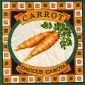 carotte0018-1.jpg (5574 octets)