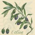 olives0055-1.jpg (3760 octets)