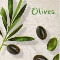 olives0089-1.jpg (3700 octets)