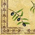 olives0108-2a.jpg (4255 octets)