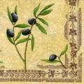 olives0108-2b.jpg (4407 octets)