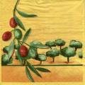 olives0127-1a.jpg (3730 octets)