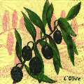 olives0137-1.jpg (4906 octets)