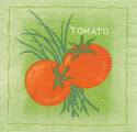 tomates0004-2.JPG (2730 octets)