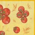 tomates0005-4c.jpg (3307 octets)