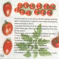 tomates0006-1a.jpg (4604 octets)
