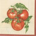 tomates0008-1.jpg (3337 octets)