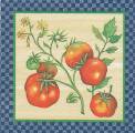 tomates0009-1.jpg (4461 octets)