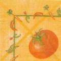 tomates0017-1.jpg (2477 octets)