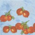 tomates0021-1a.jpg (3034 octets)