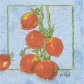 tomates0021-1b.jpg (3138 octets)