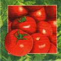 tomates0025-1.jpg (3518 octets)